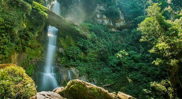 Escapa a la Selva: Tarapoto Express