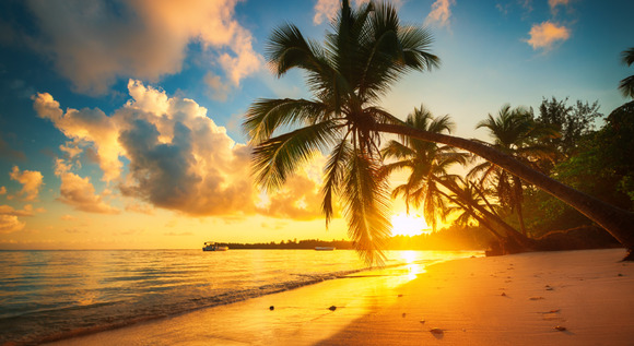Punta Cana a tu estilo